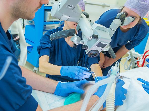 Anesthesiemedewerker houdt patiënt tijdens operatie in slaap met narcose