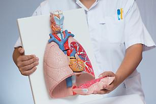Verpleegkundige toont medisch model van de longen