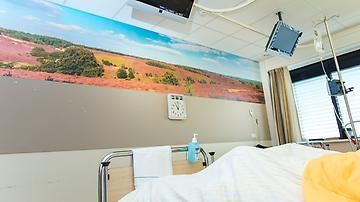 Patiëntenkamer met grote foto op muur (healing environment)