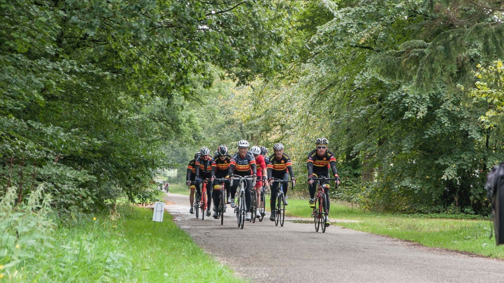 Fietsers op een bosweg