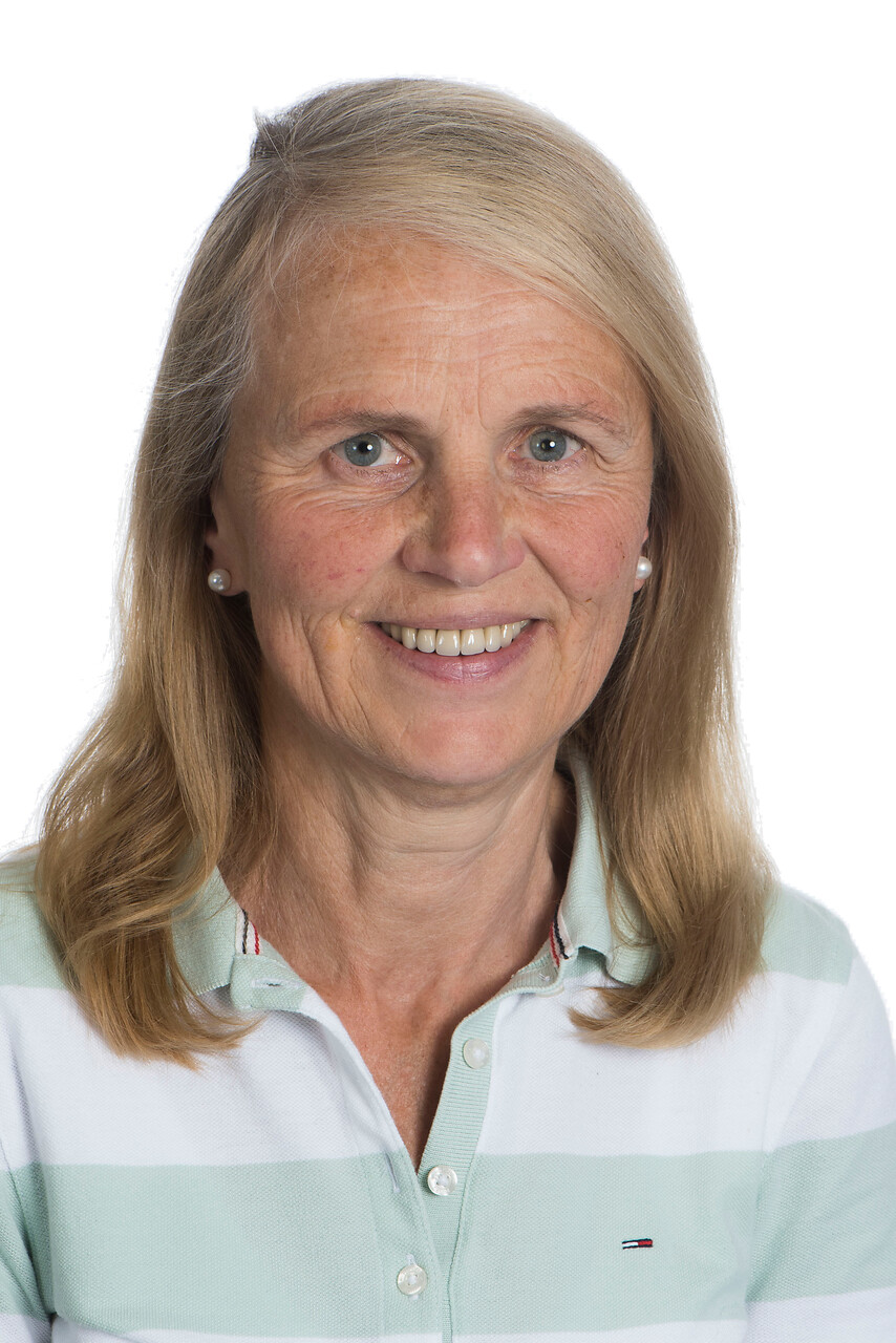 M. Reijnders