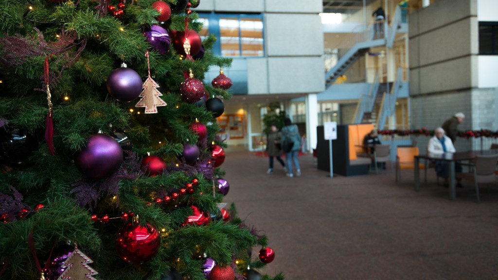 Kerstboom in de ontvangsthal