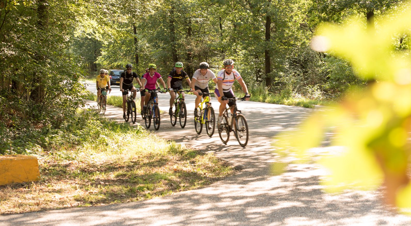 Groep fietsers in bosrijk gebied (fietstocht 2018)